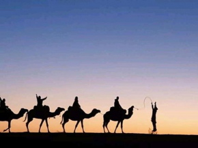 Brilliant luxury camp